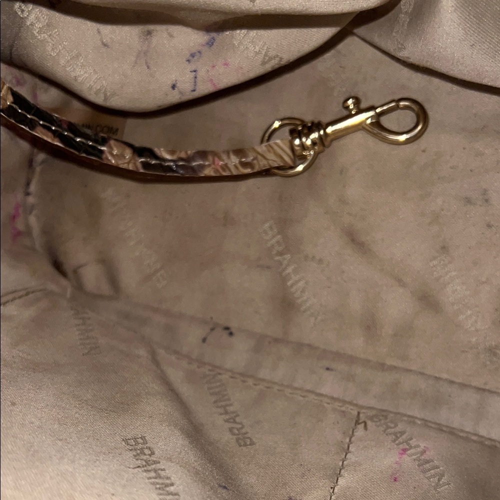 Brahmin Multicolor Satchel with Tan and Brown Accents - Picture 2 of 5